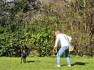 Dog walk paddock