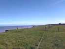 Scenery from my pitch