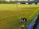 Large flat field, plenty of room.
