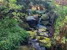 Stream in the grounds