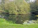 First pond