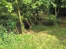 Stream