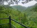 One of many views of devil's falls.