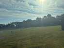 Fabulous morning