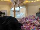 So cosy