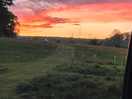 View from our pitch up towards the rest of the site with a beautiful sunset