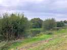 Riverbank walk