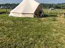 Lovely tent all ready set up with lots of animals on site. so peaceful.