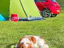 Relaxing at the campsite