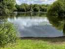 Beautiful view of the lake