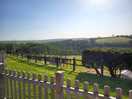 The view from the patio