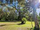 Camp ground area