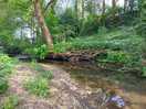 View of te stream
