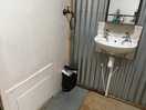 In the shower/toilet.