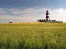 Lighthouse and type 22 pillbox