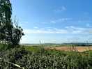 View from site