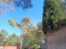 Parte alta camping ...inizio liazzole