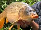 Fisherman’s catch from one of the lakes