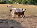 Mum and baby