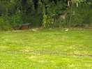 Bird feeders and hedgehog house amongst pitches.