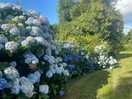 Grounds were beautiful