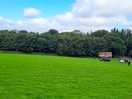Top field