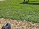 Chilling on a bench