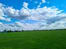 Lovely open field with lots of space for kids to play