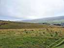 Lovely scenery from our pitch