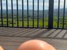Views from the pod