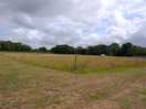 Seperate areas for tents and campervans