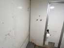 Only toilet on its own.