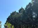 Clear skies