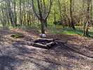 A place for a bonfire