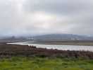 Bird sanctuary and off in the distance is portugal