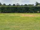 Pitch