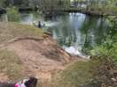 The fishing pond