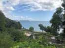 Local views