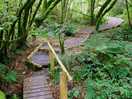 Footpath.