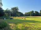 Flat pitches in acres of space