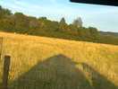Peaceful view