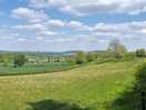 Local view