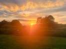 Wildlife haven sunset