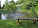 Lakeside