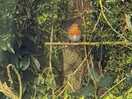 Beautiful wildlife