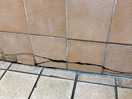 Cracked tiles