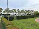 Kamper place