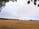 View from the bottom of the site.