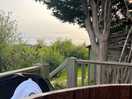 View from hot tub