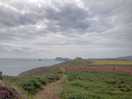 Right next to the coastal path